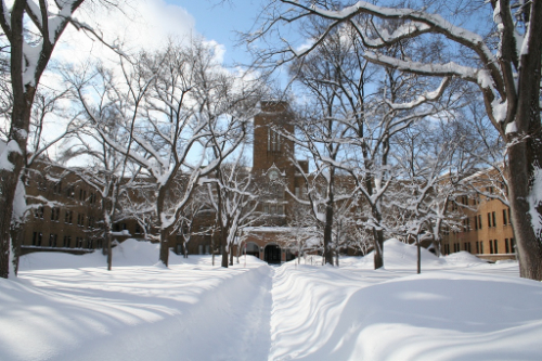 北海道大学キャンパスイメージ