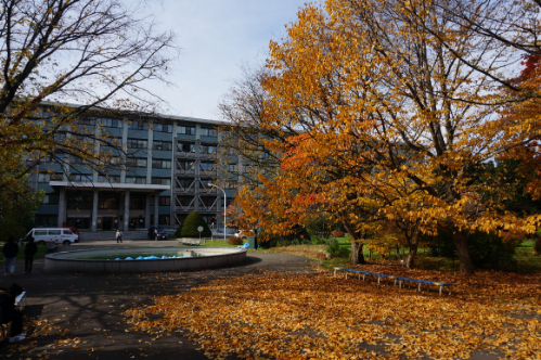 北海道大学キャンパスイメージ