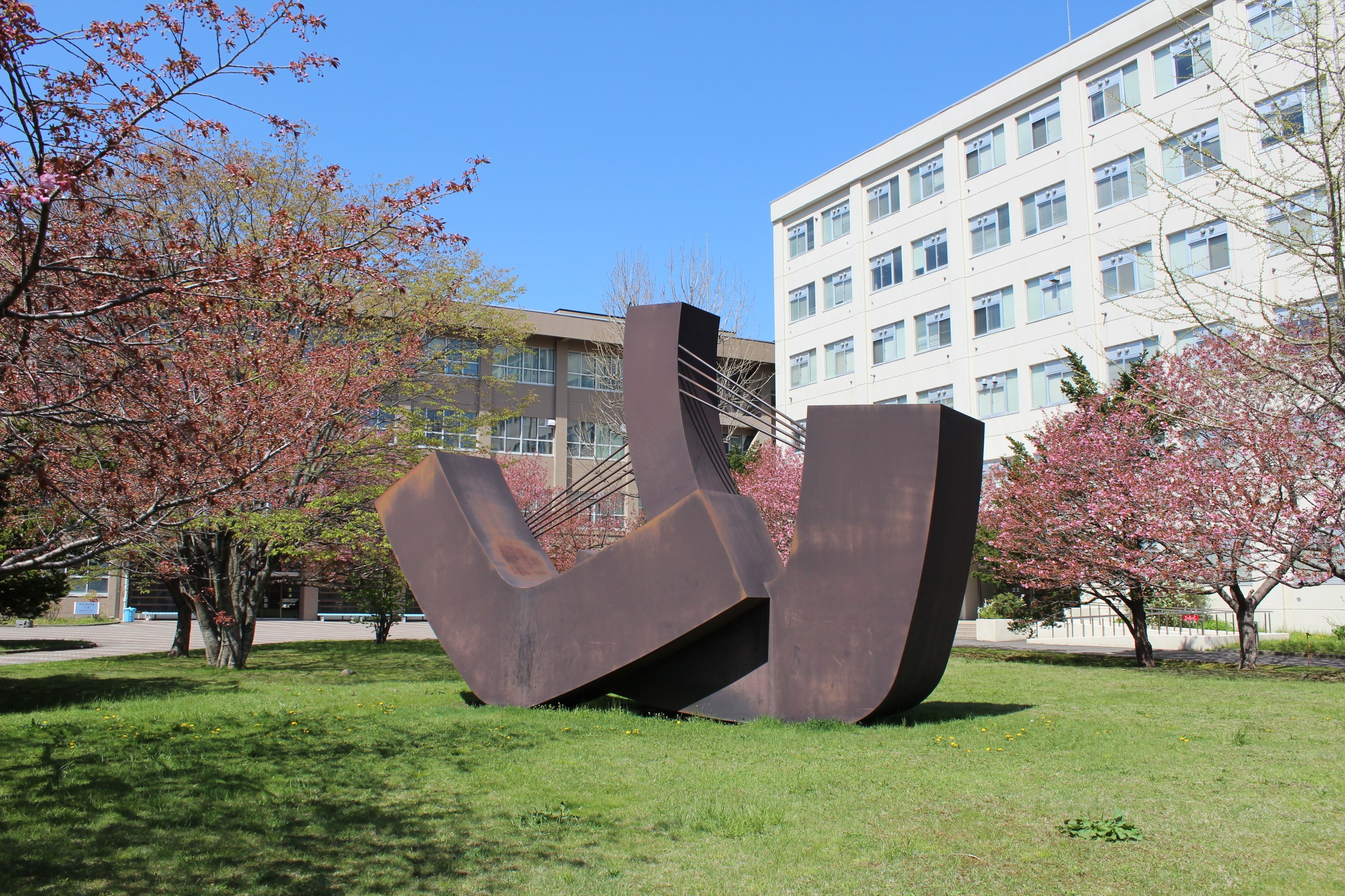 MURORAN INSTITUTE OF TECHNOLOGY Campus image