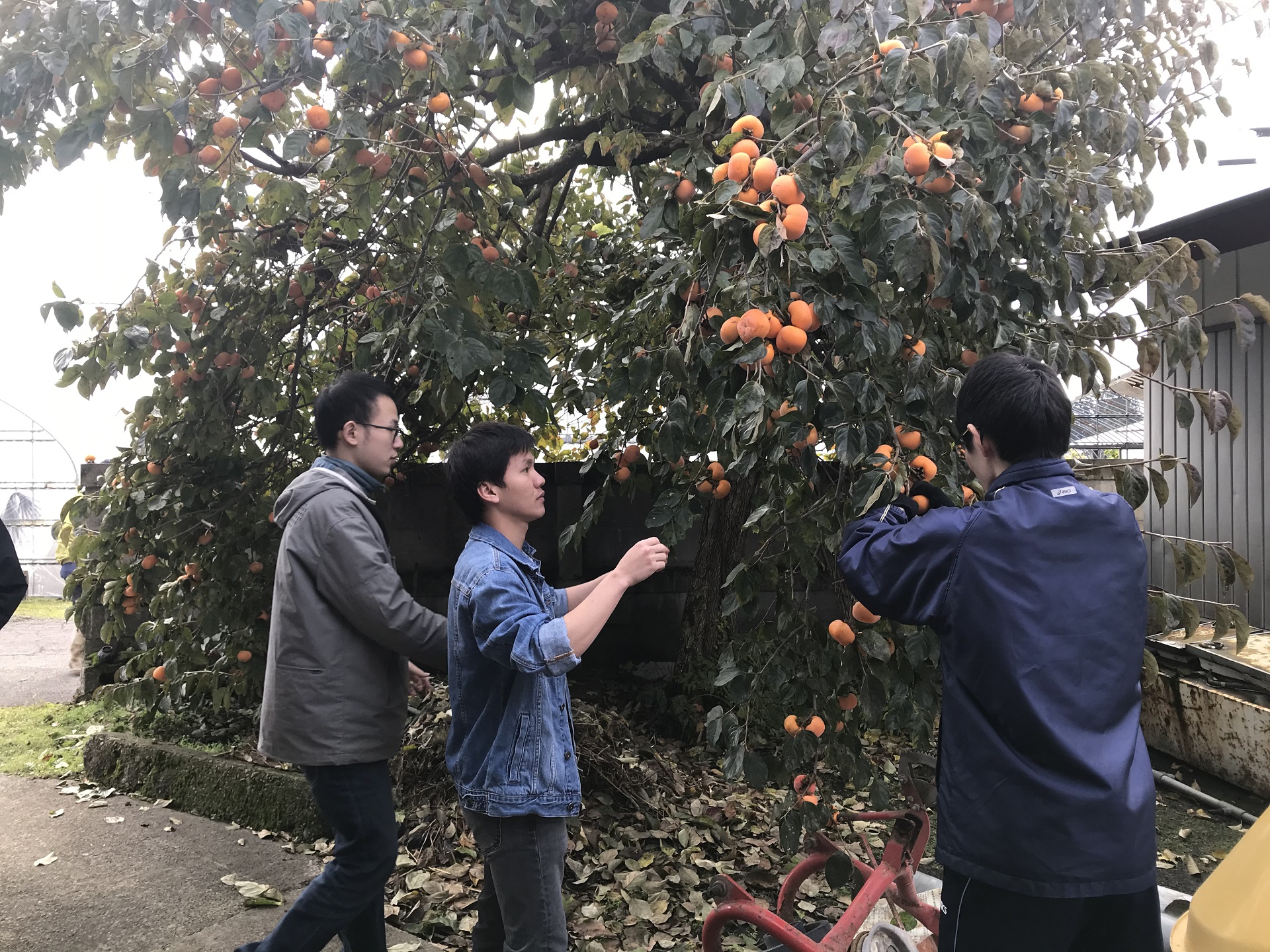 秋田大学キャンパスイメージ