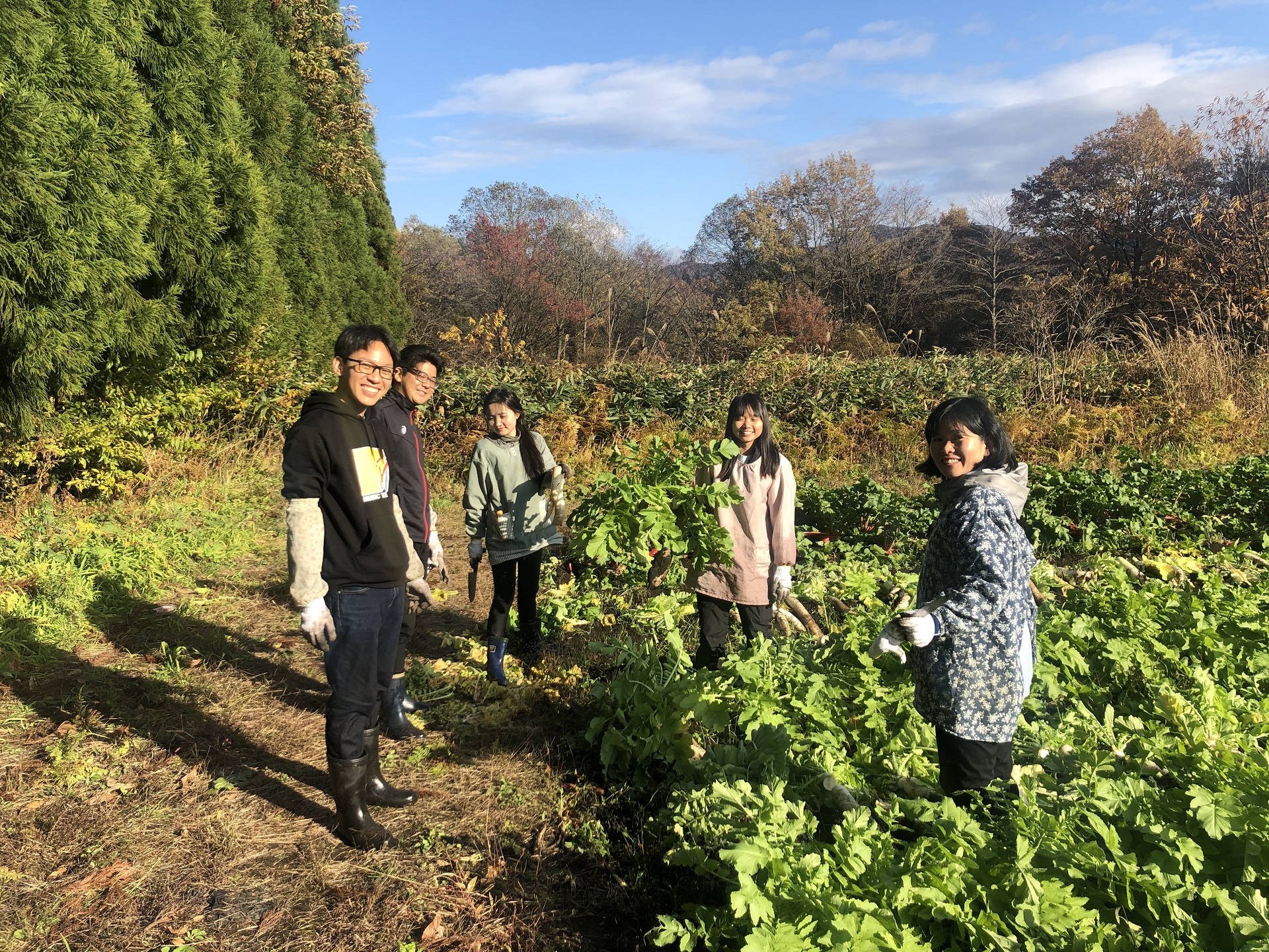 秋田大学キャンパスイメージ