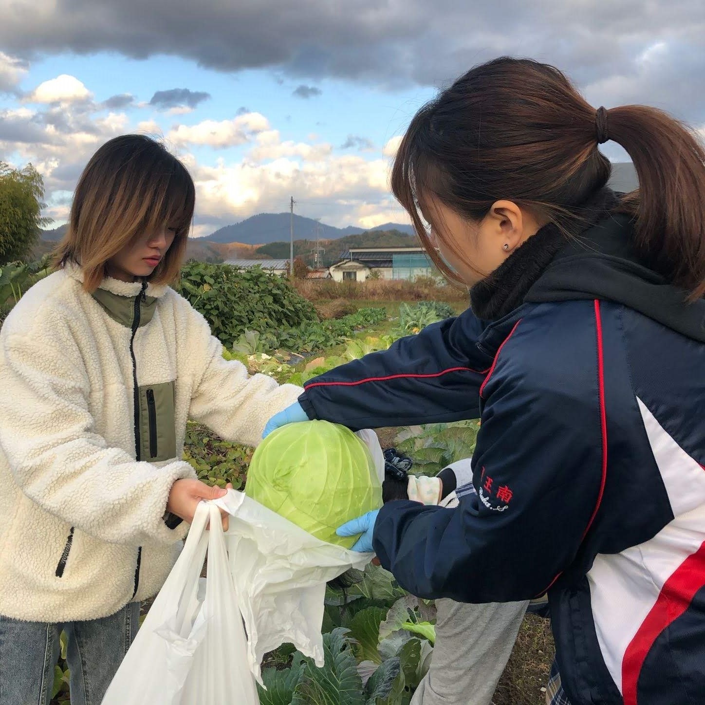 秋田大学キャンパスイメージ