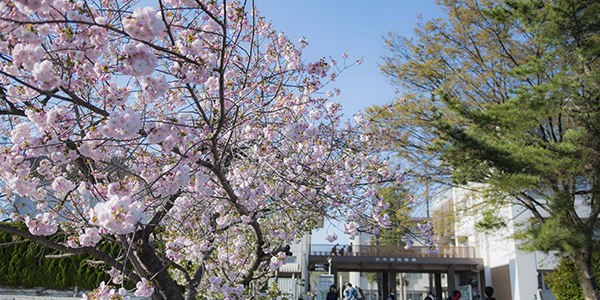 Shinshu University Campus image