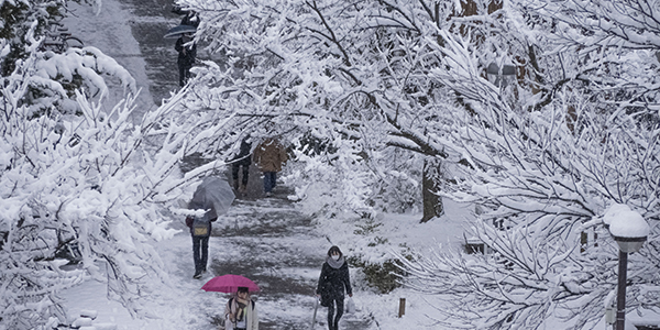 Shinshu University Campus image