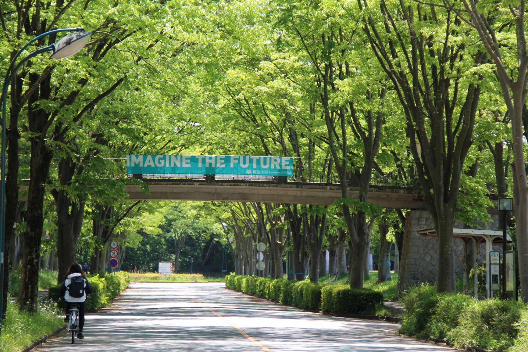 University of Tsukuba Campus image