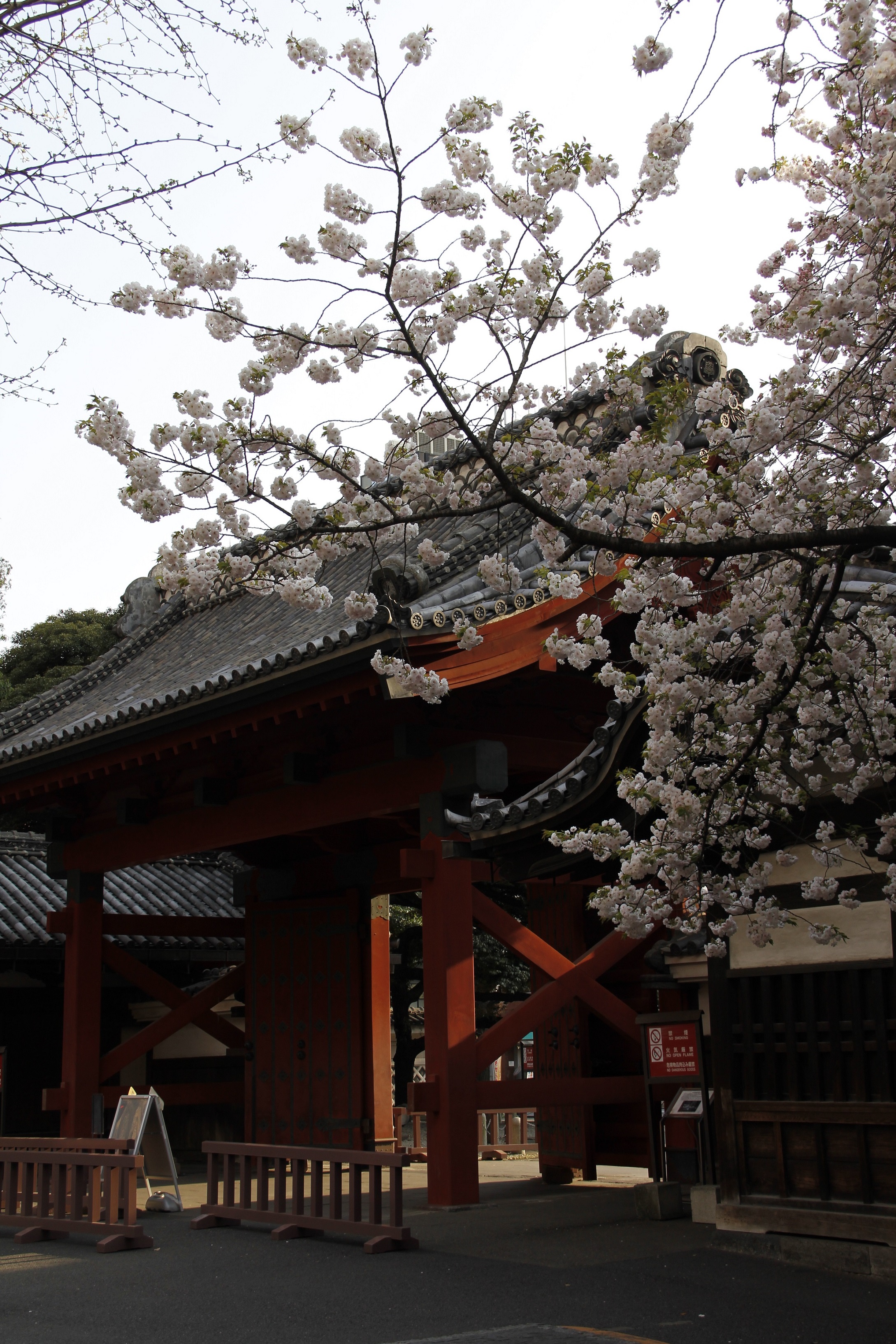 The University of Tokyo Campus image