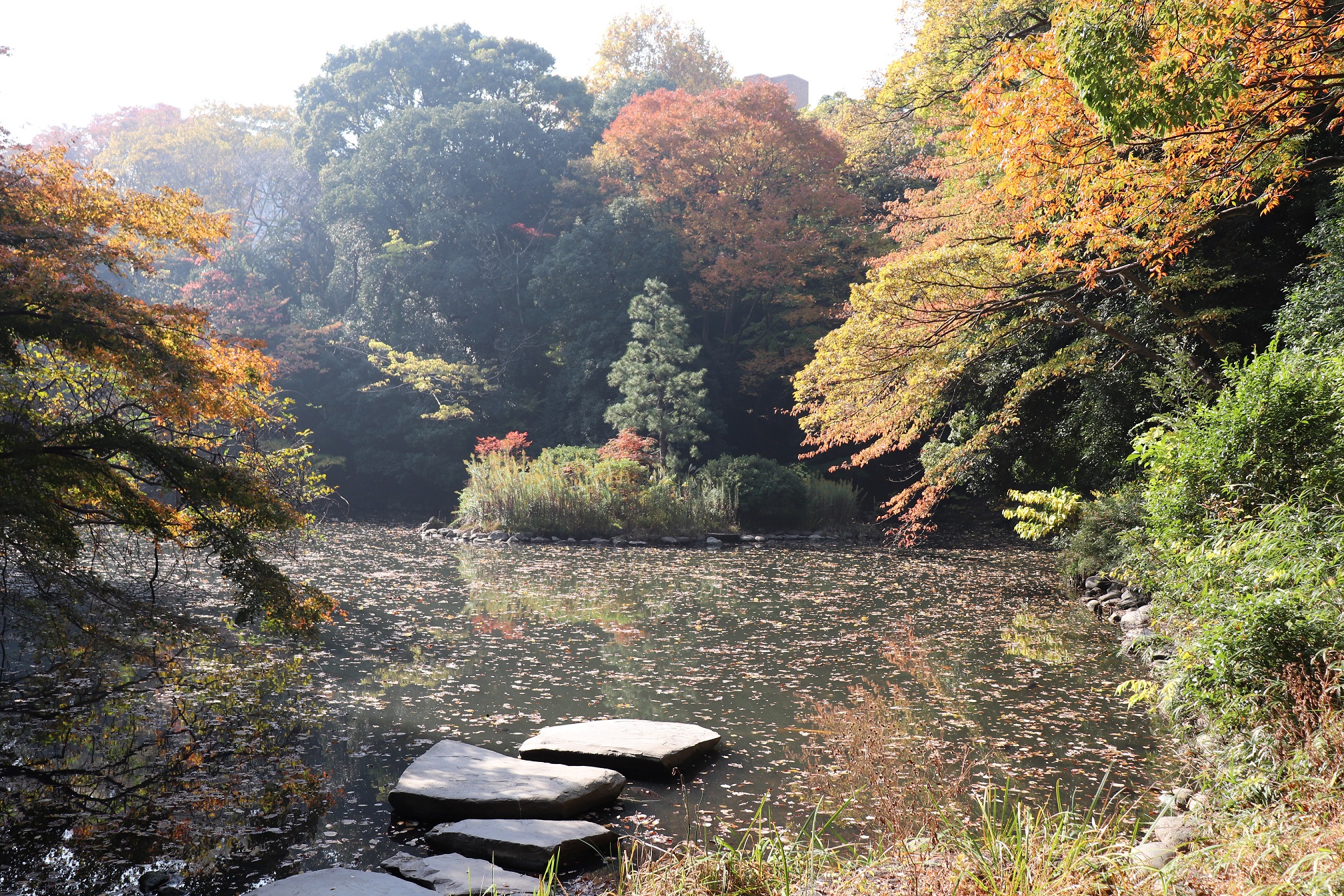 The University of Tokyo Campus image