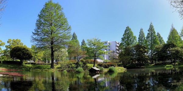 岐阜大学キャンパスイメージ