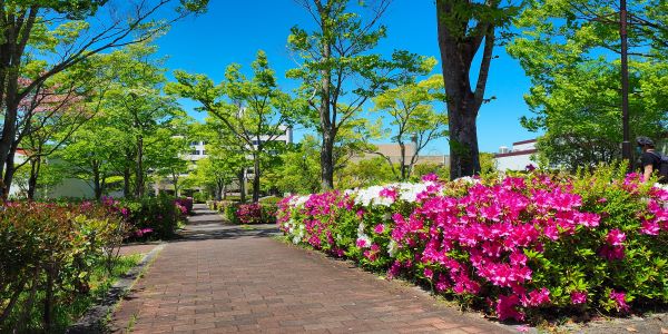 兵庫教育大学キャンパスイメージ