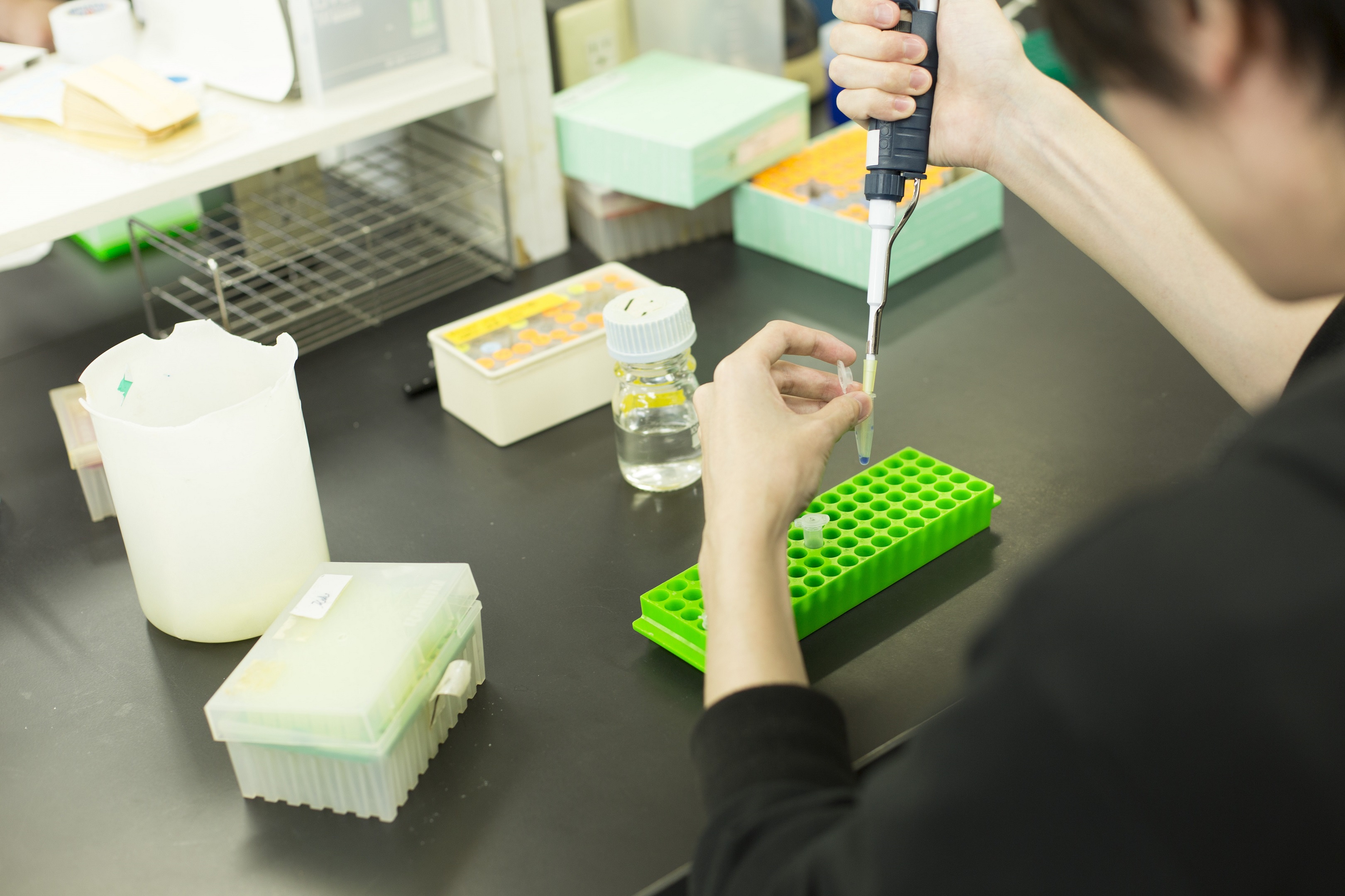 Nara Institute of Science and Technology Campus image