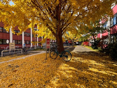 Tottori University Campus image
