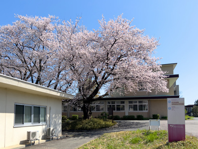 Tottori University Campus image