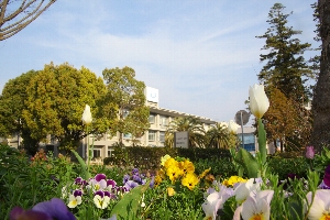 Kochi University Campus image