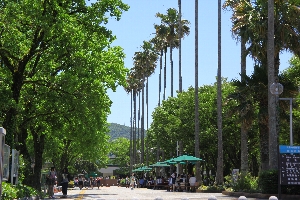 Kochi University Campus image