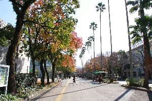 Kochi University Campus image