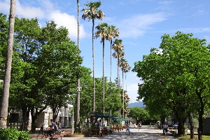 Kochi University Campus image