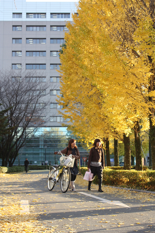 熊本大学キャンパスイメージ