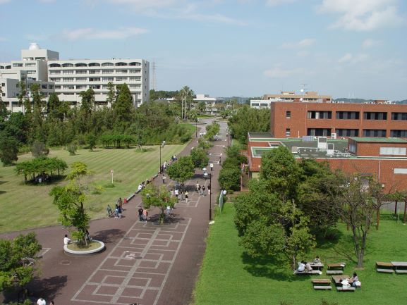University of Miyazaki Campus image