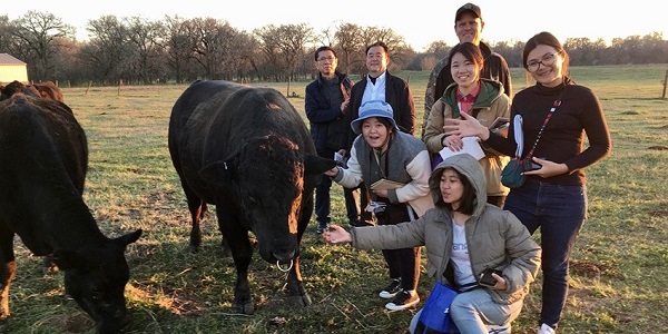 鹿児島大学キャンパスイメージ