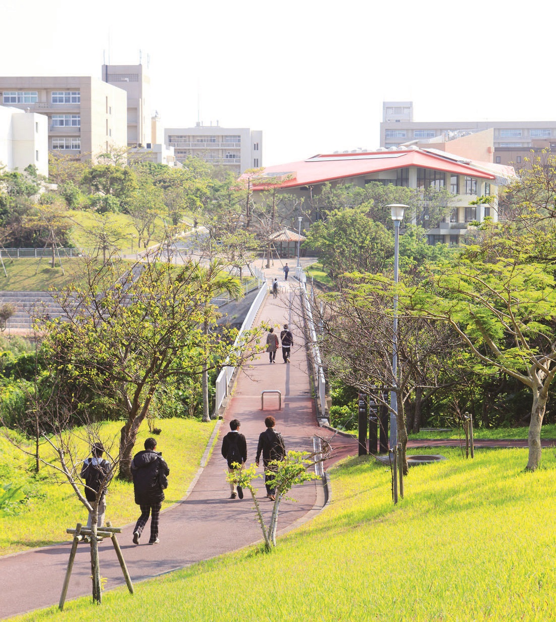 琉球大学キャンパスイメージ