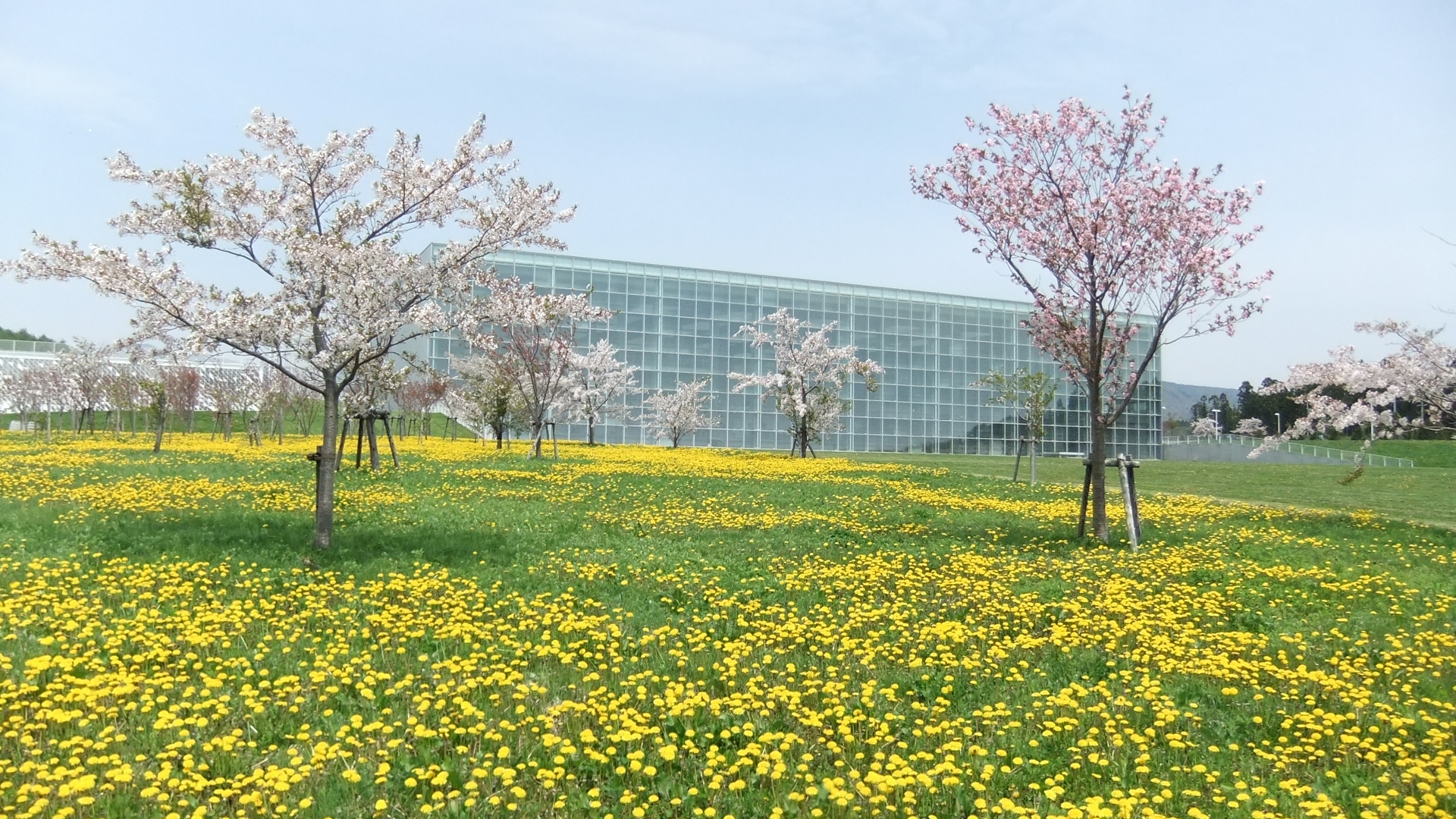 Future University Hakodate Campus image