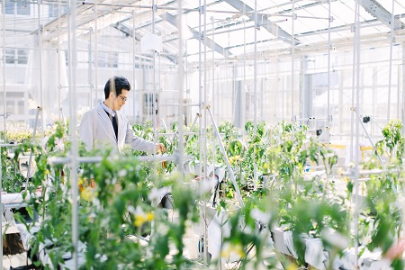 MIYAGI UNIVERSITY Campus image