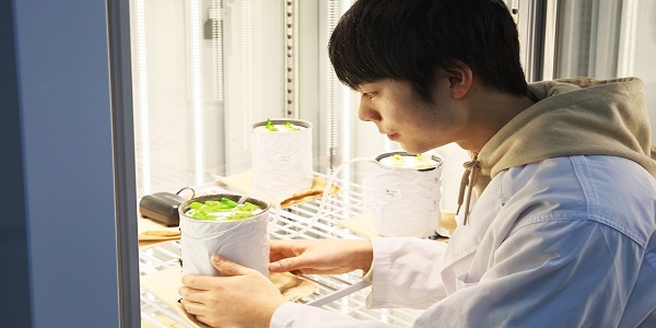 MIYAGI UNIVERSITY Campus image