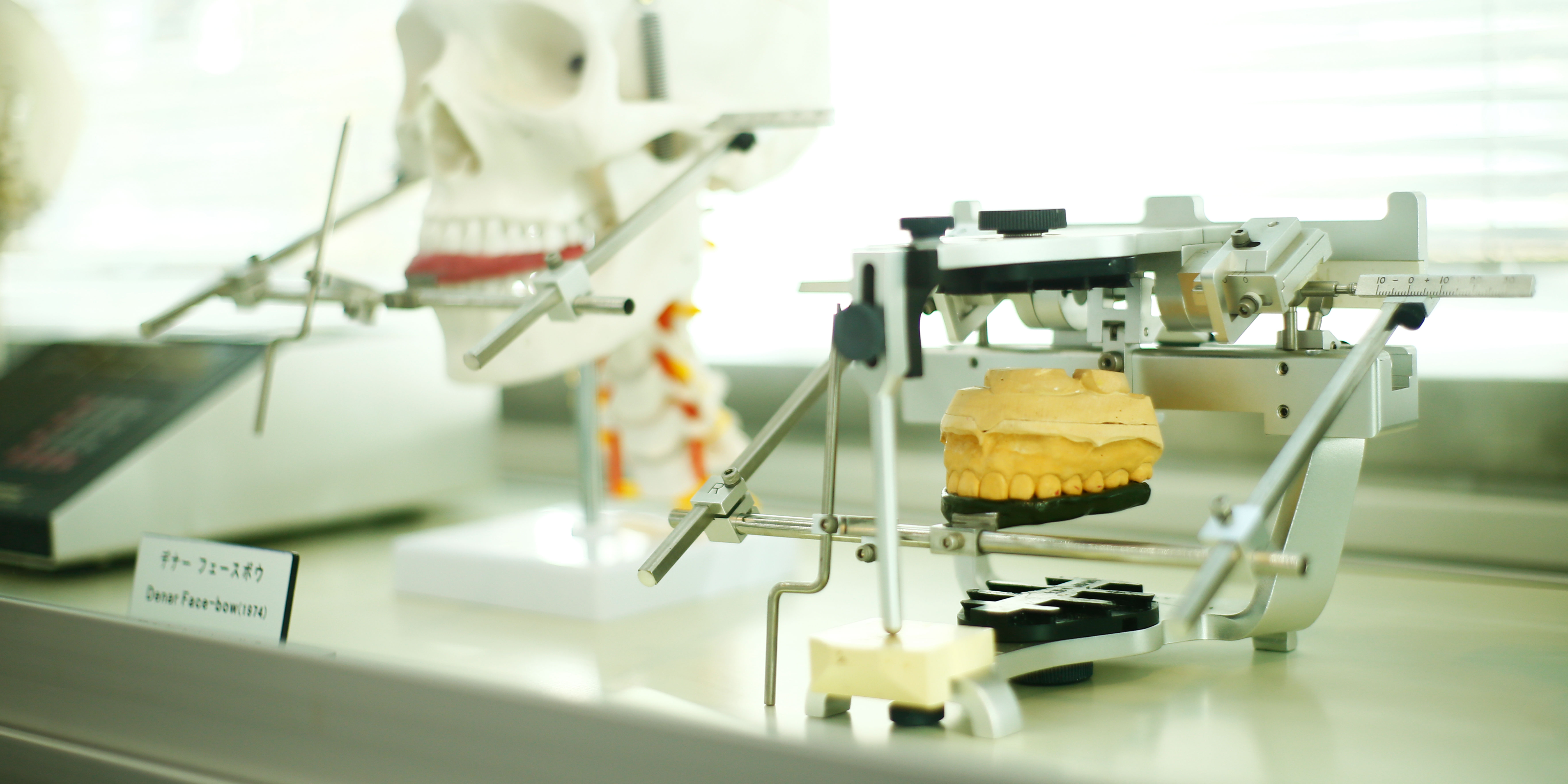 Meikai University Campus image