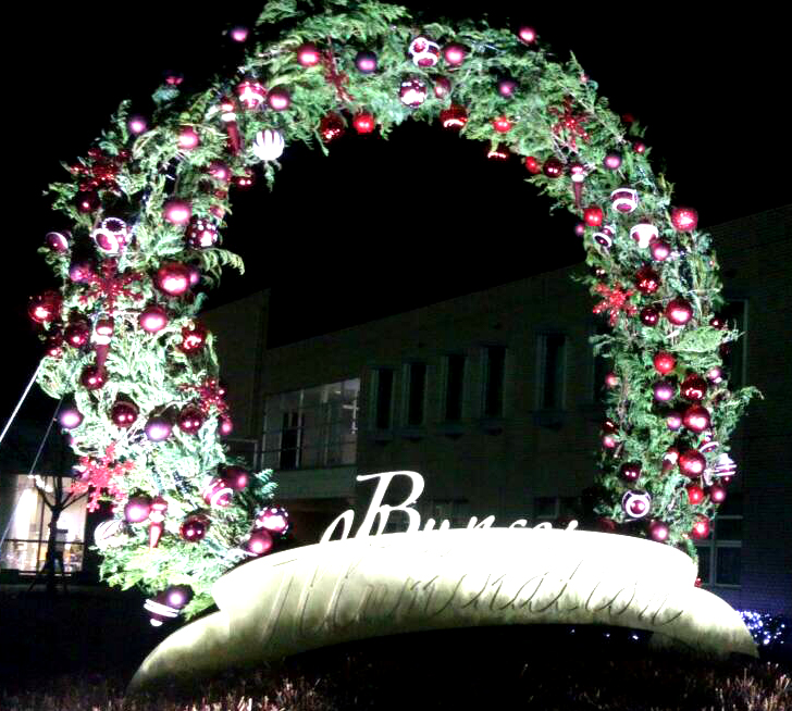 BUNSEI UNIVERSITY OF ART Campus image