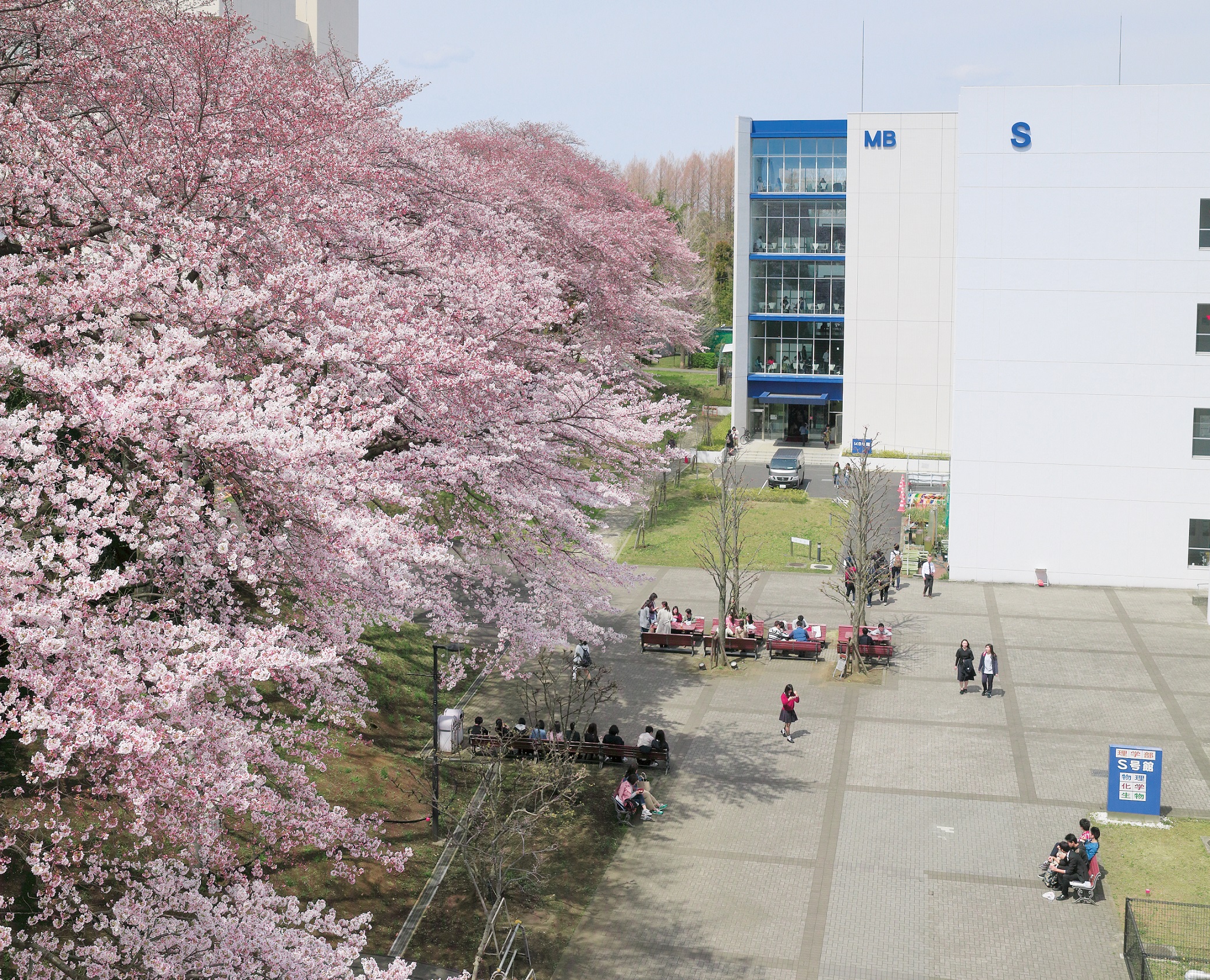 北里大学キャンパスイメージ