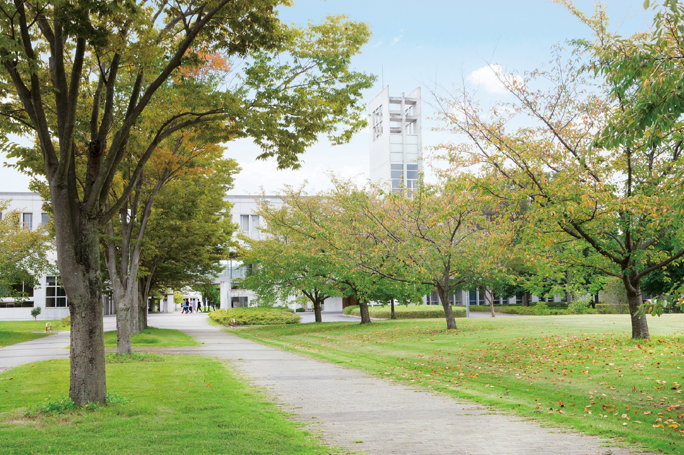 Toyo University Campus image