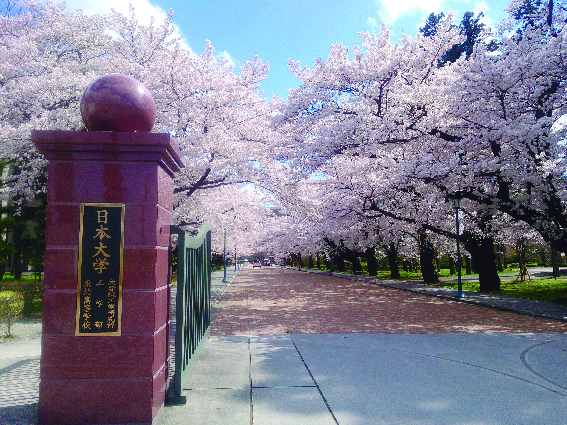 Nihon University Campus image