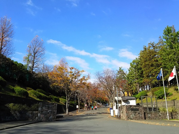 Nippon Sport Science University Campus image
