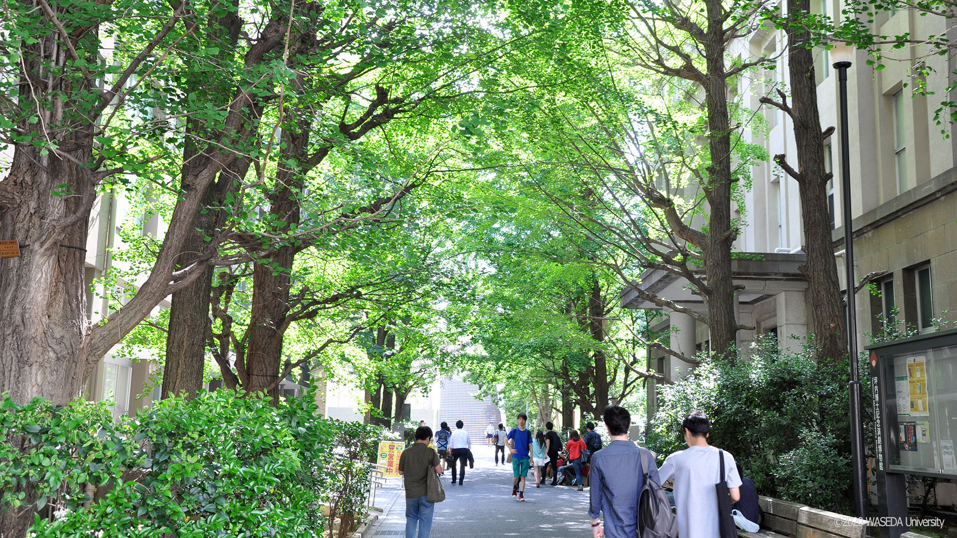 WASEDA University Campus image