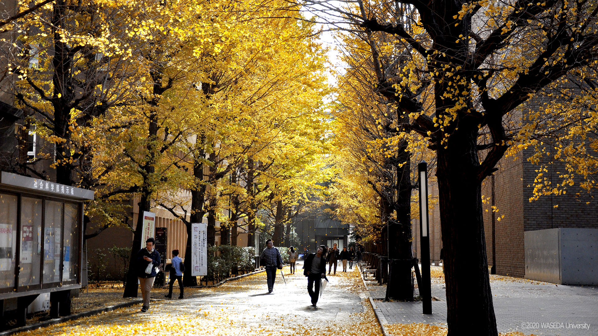 WASEDA University Campus image