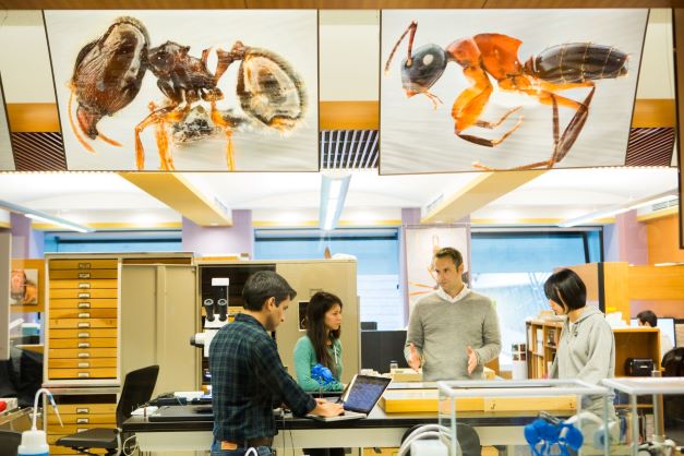 沖縄科学技術大学院大学キャンパスイメージ