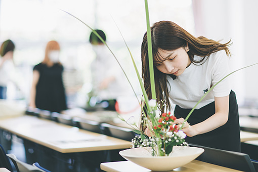Kyoto Koka College (Name to be changed in April 2026) Campus image