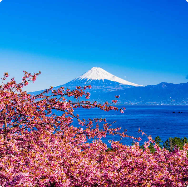 Reasons to Choose Japan