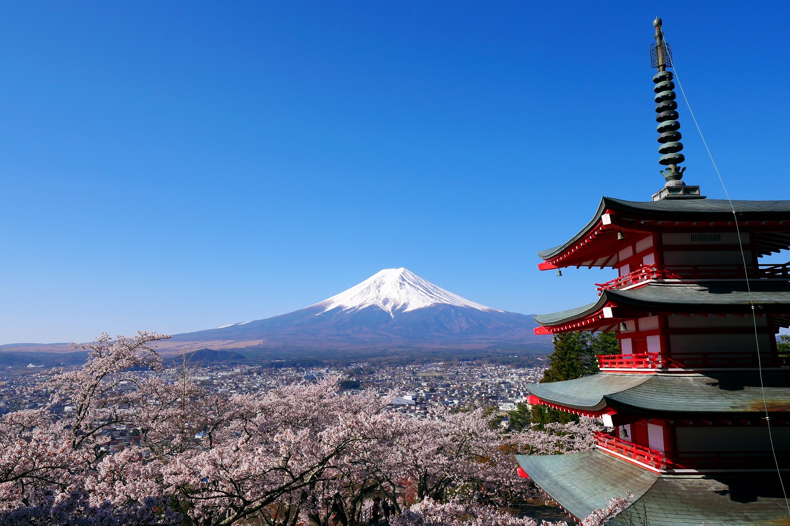 発見 エリア別nipponのくらし 山梨県 発見 エリア別nipponのくらし Life In Japan 日本での生活 日本留学情報サイト Study In Japan 発見 エリア別nipponのくらし 山梨県 発見 エリア別nipponのくらし Life In Japan 日本での生活 日本留学情報サイト Study In Japan
