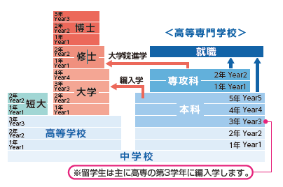 卒業後の進路は?