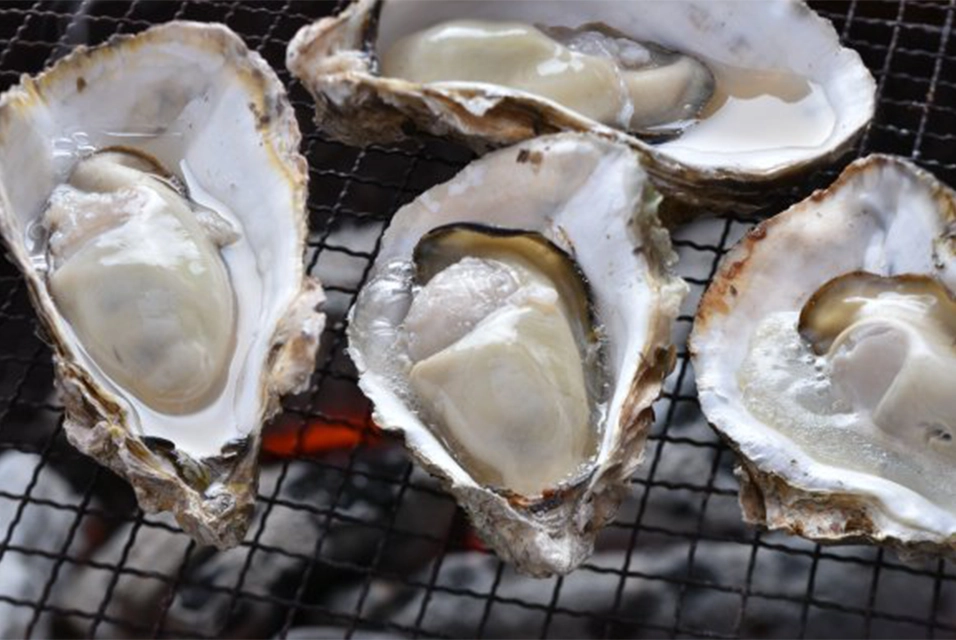 Oyster