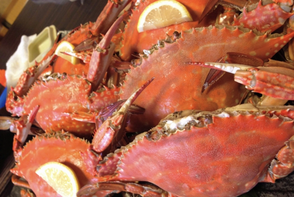 Takezaki crab