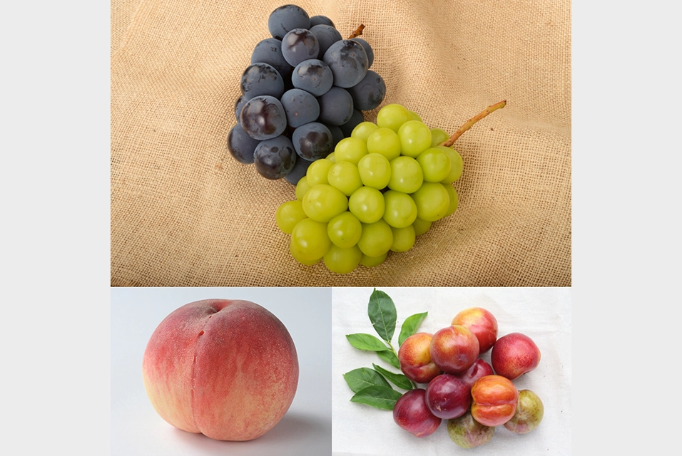 Fruits