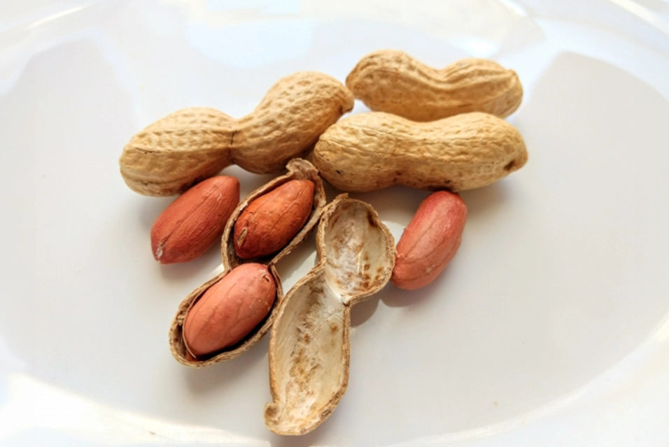 الفول السوداني
