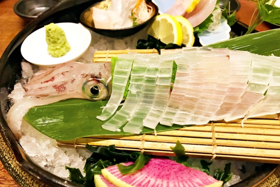 Slices of a living squid