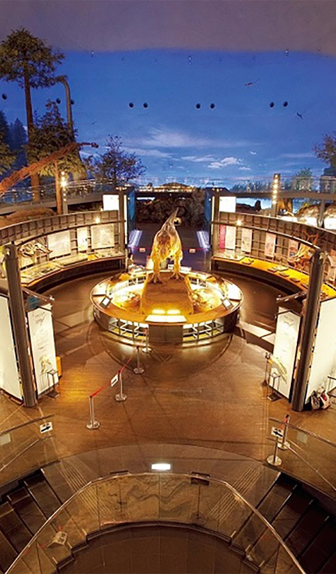 Fukui Prefectural Dinosaur Museum