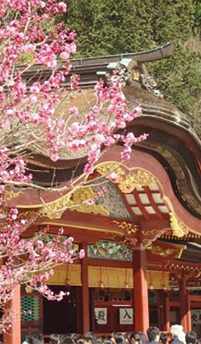 Dazaifu Tenmangu Shrine