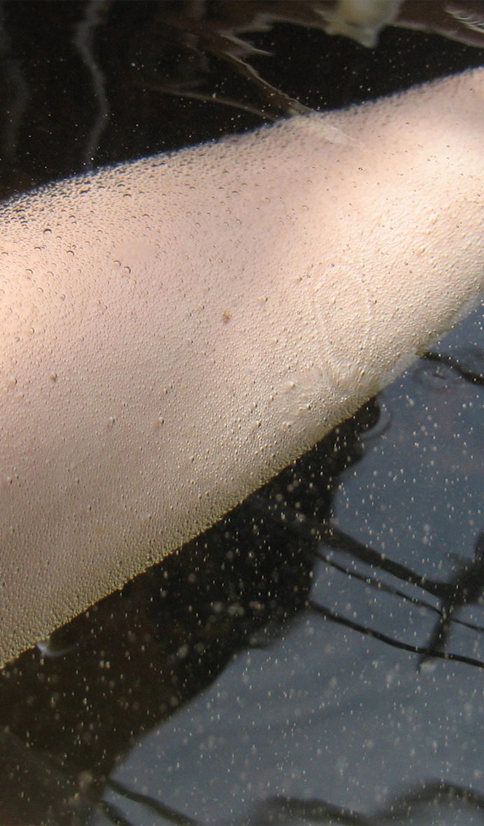 Nagayu Onsen