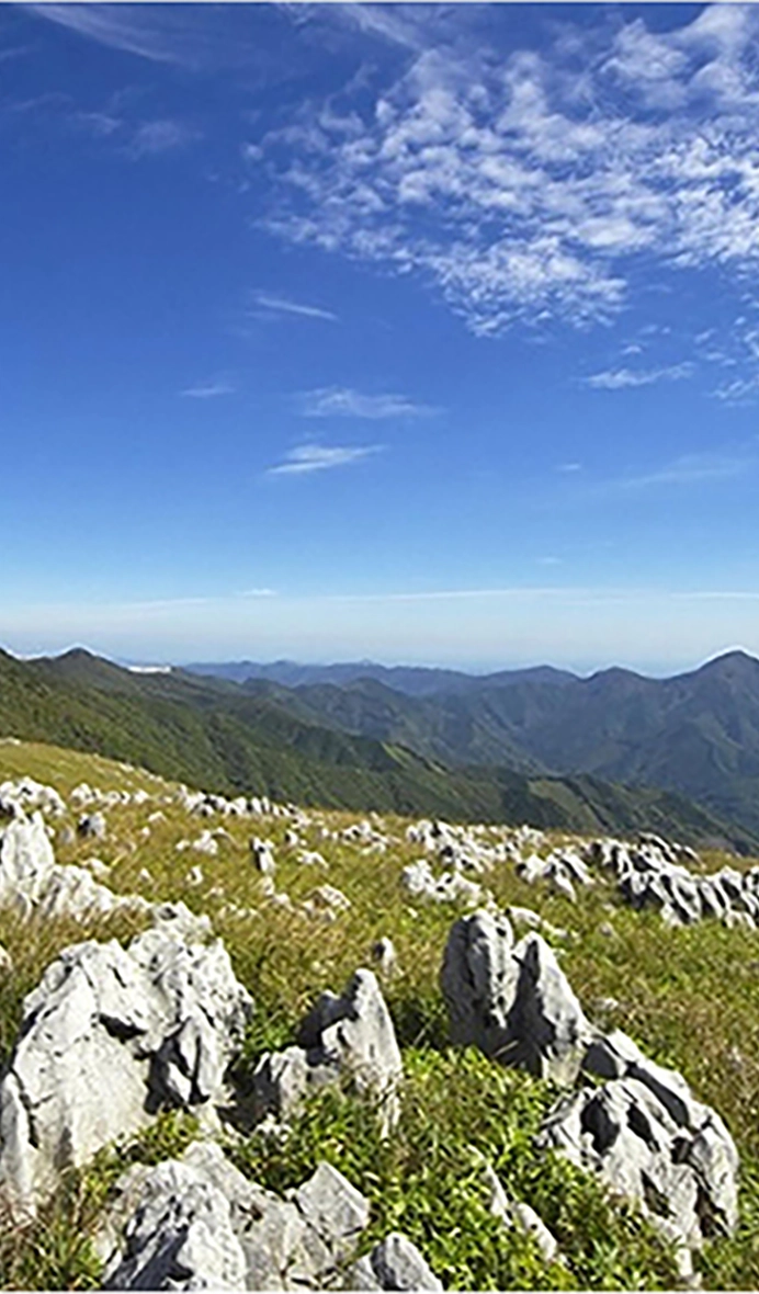 Shikoku Karst