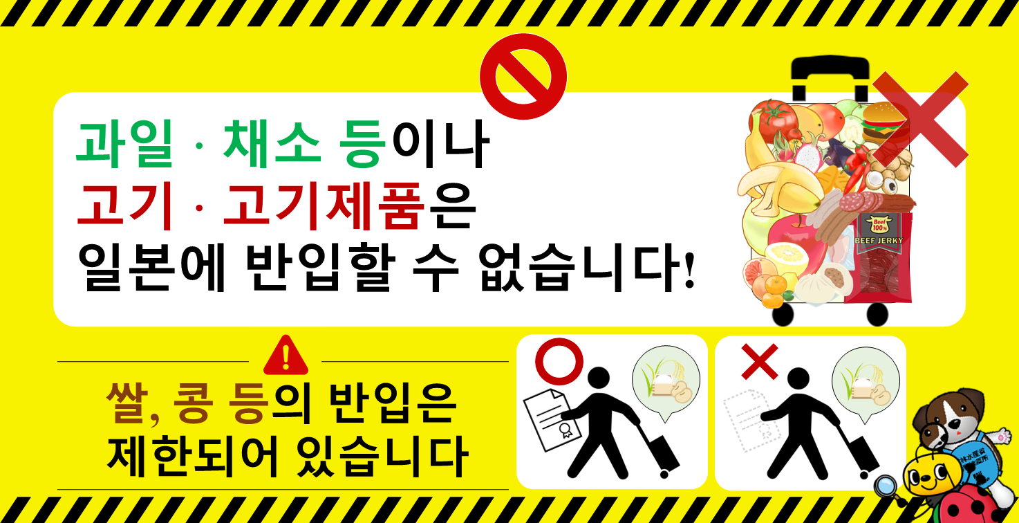 과일·채소 등이나 고기·고기제품은 일본에 반입할 수 없습니다! 쌀, 콩 등의 반입은 제한되어 있습니다